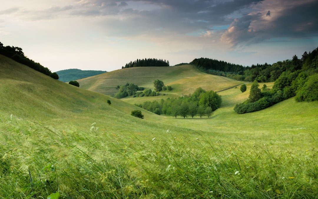 Legal Contractual Landscape