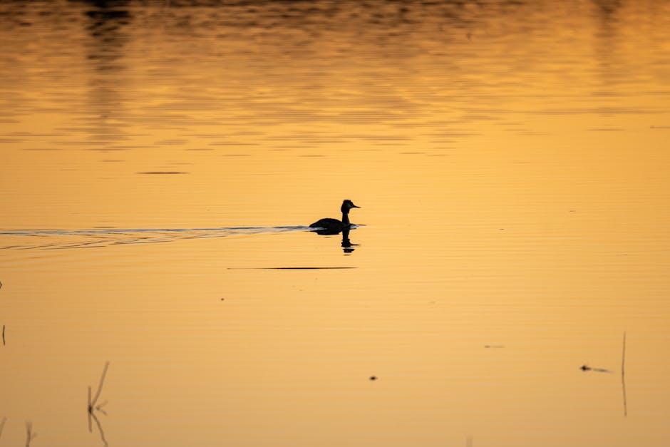 Vaibhav Sooryavanshi's Rare Golden Duck: A New Talent Emerges in Praful Hinge