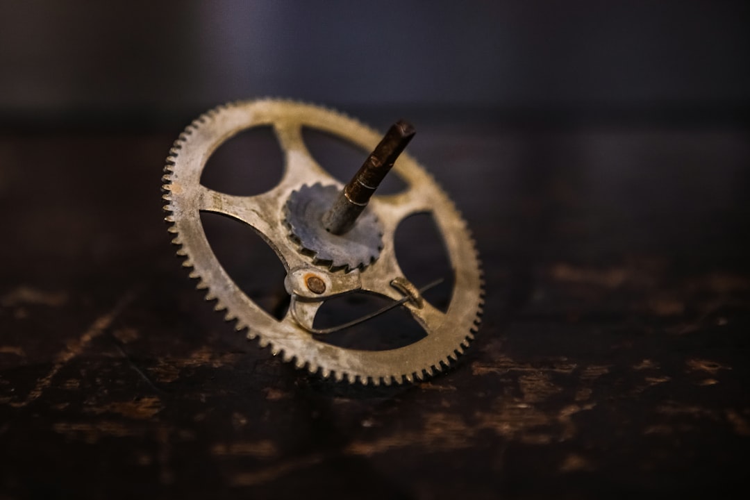 Biomechanical perspective, spinner’s