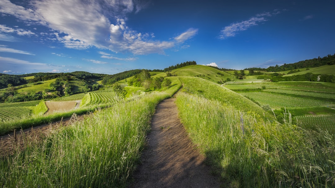 Broader Landscape: Shift