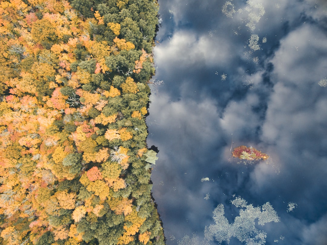 Comparison season‑long trends