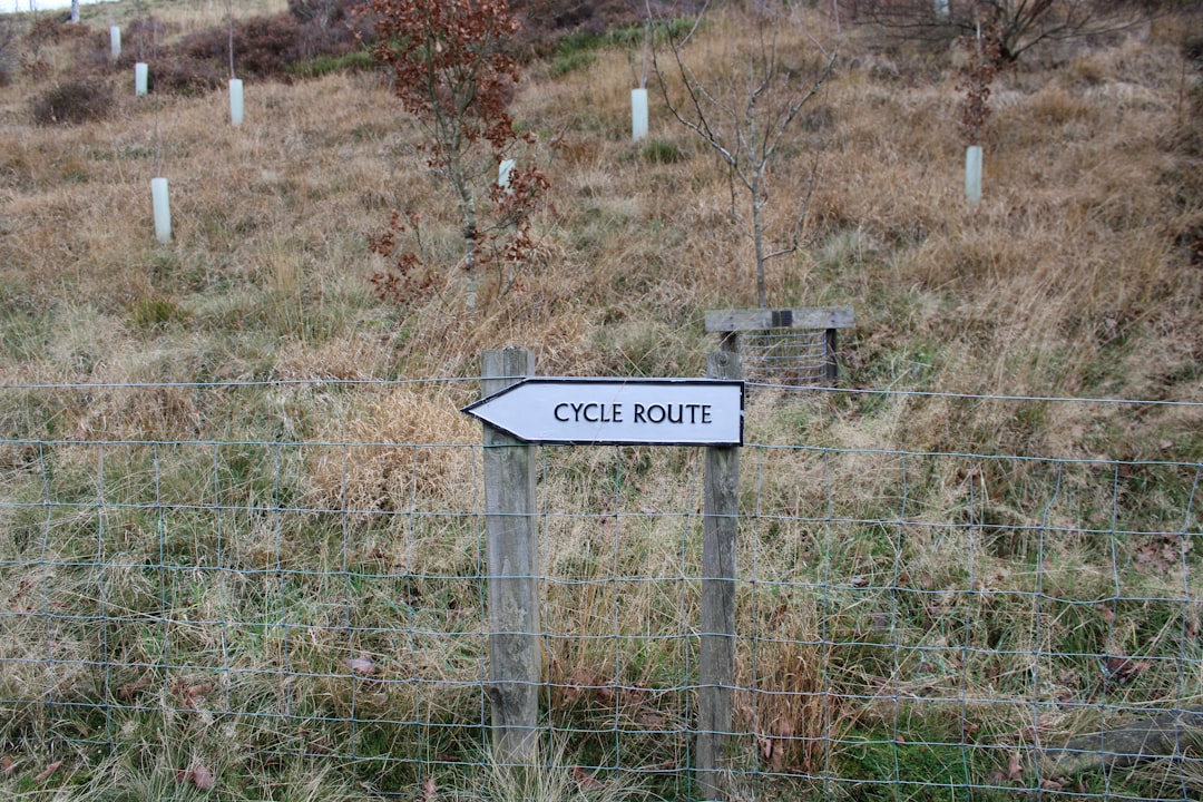 Could Possible Routes