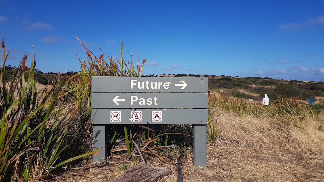 Future Outlook: Ahead