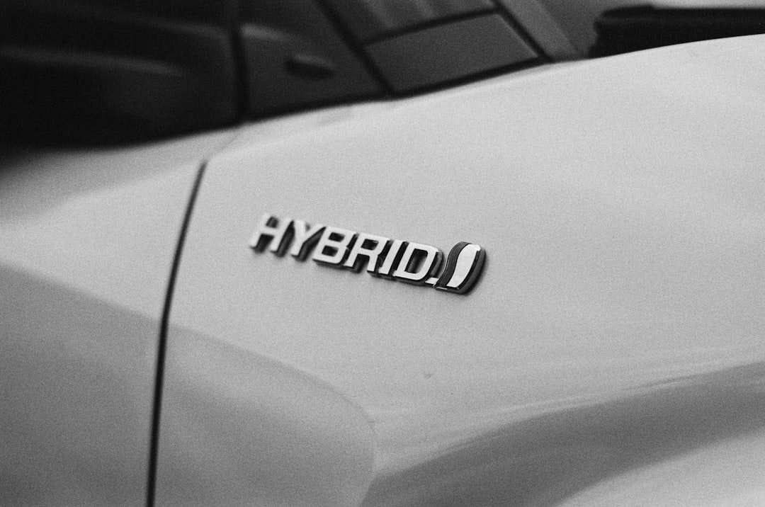 Hybrid Ownership Model: