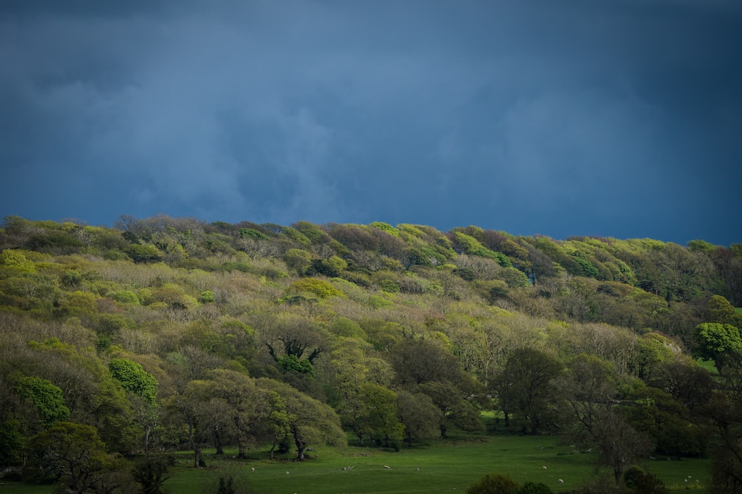 Lancashire’s Early Dominance in a Rain‑Interrupted County Clash