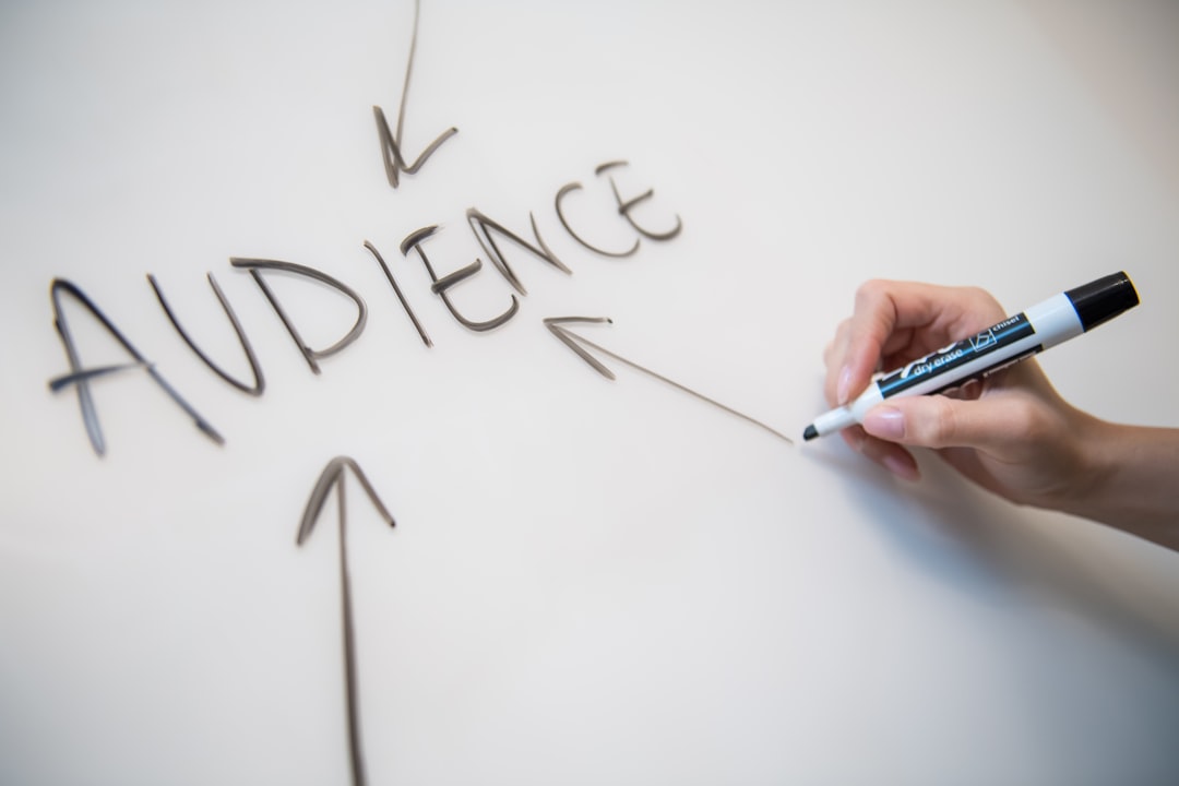 Marketing Strategies Audience