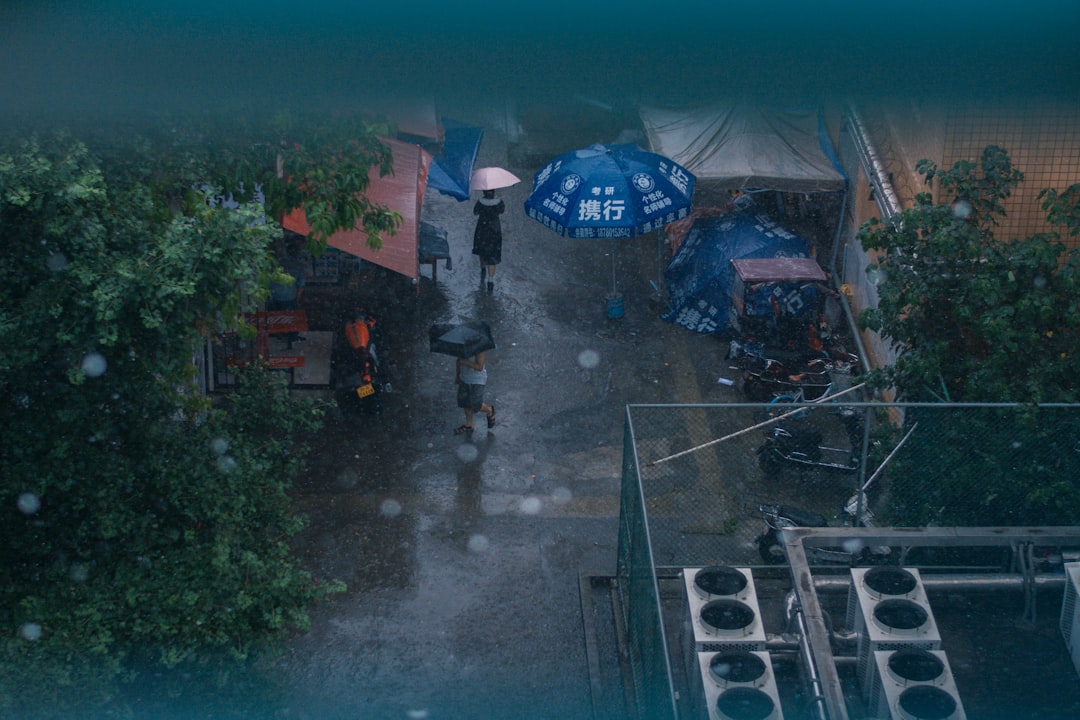 Scenario 3 Rain‑Interrupted Reset
