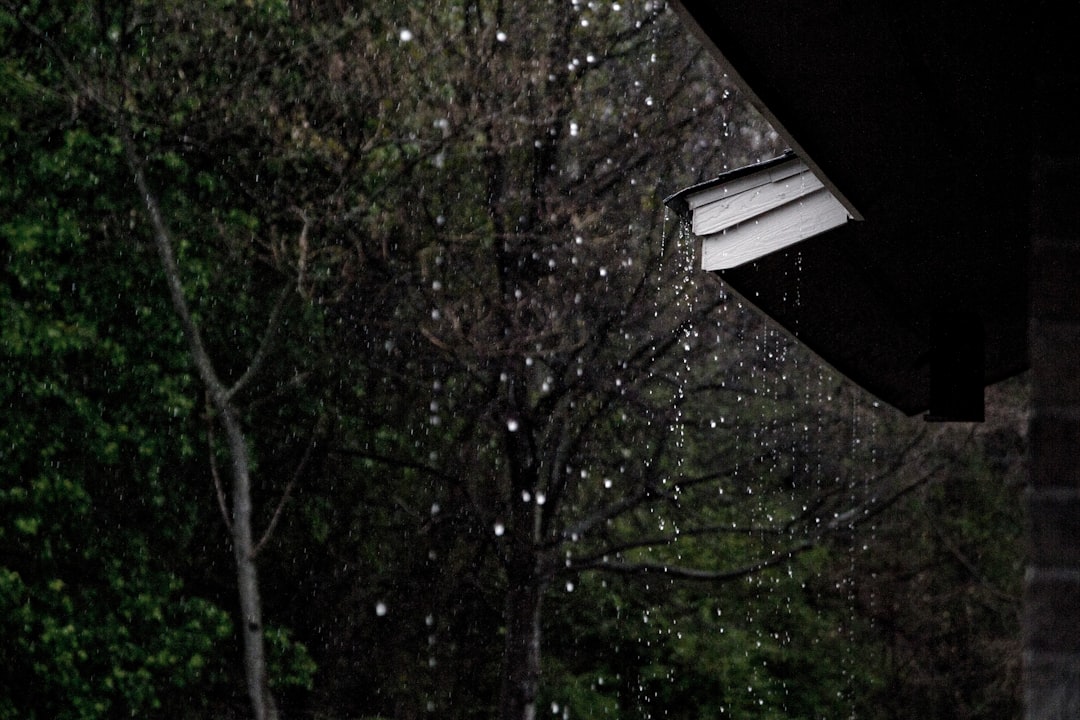 Scenario Rain‑Interrupted Given