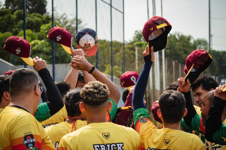 Stalled BBL Privatization Sparks Debate Among Australian Cricket Stakeholders