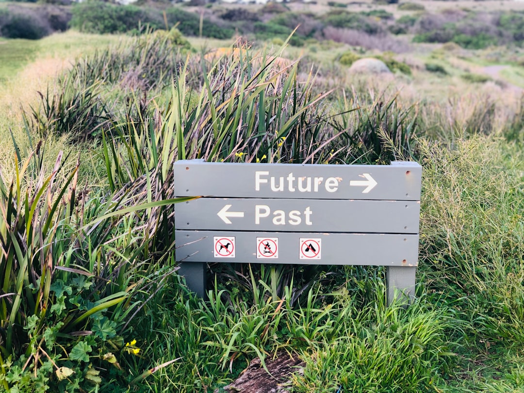 Strategic Shifts Future