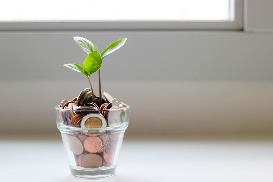 sustainability financial gains