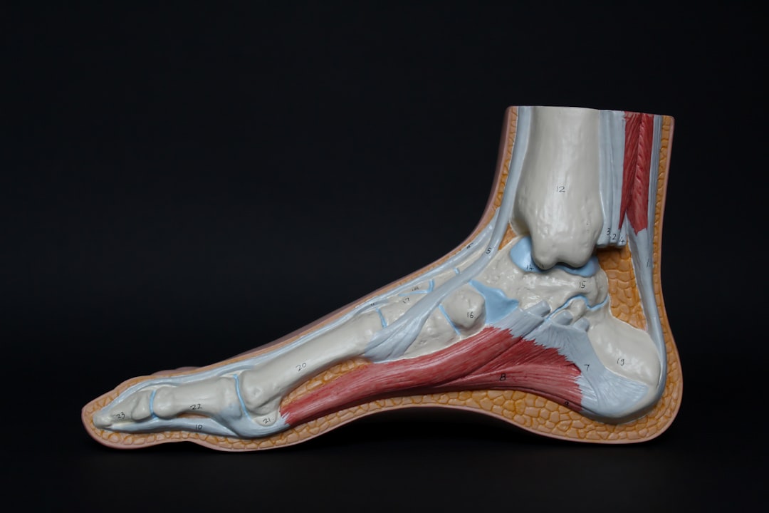 Biomechanical analysis suggests