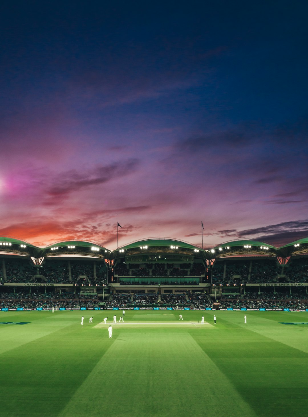 Weather cricket's perennial